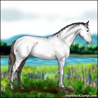 Horse Color:Smoky Black Fewspot 