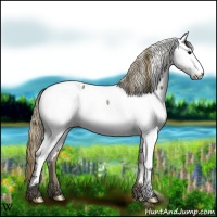 Horse Color:Smoky Grullo Fewspot 