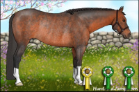 Horse Color:Brown Rabicano 
