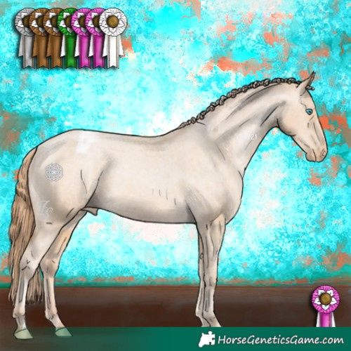 Horse Color:Buckskin Pearl Appaloosa 