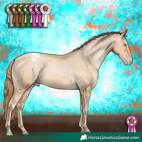 Horse Color:Buckskin Pearl Appaloosa 