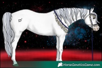 Horse Color:Painted White Spotted Silver Brown Appaloosa 