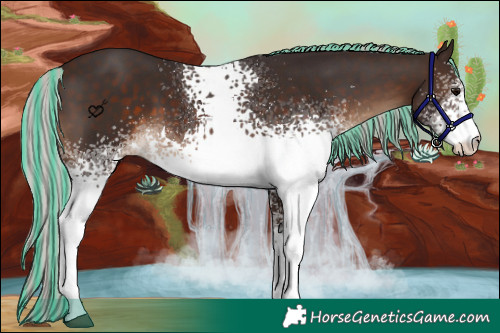 Horse Color:Painted White Spotted Silver Brown 