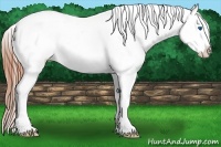Horse Color:Grullo Splash Tobiano Varnish