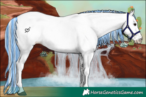 Horse Color:Painted White Spotted Silver Brown