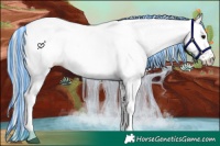 Horse Color:Painted White Spotted Silver Brown 