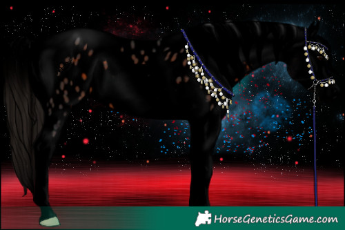 Horse Color:Void Brown Tobiano Appaloosa 