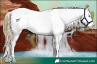 Horse Color:Buckskin Pearl Sabino Varnish Rabicano 