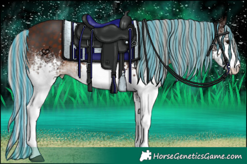 Horse Color:Painted White Spotted Silver Brown 