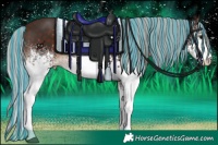 Horse Color:Painted White Spotted Silver Brown 