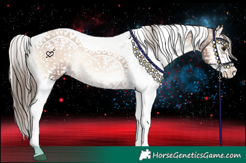 Horse Color:Liver Red Onyx Pearl Sabino Appaloosa 