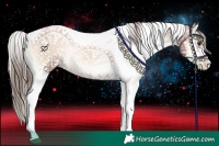 Horse Color:Liver Red Onyx Pearl Sabino Appaloosa