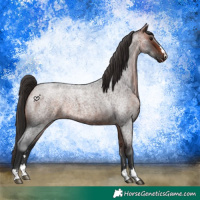 Horse Color:Bay Roan 
