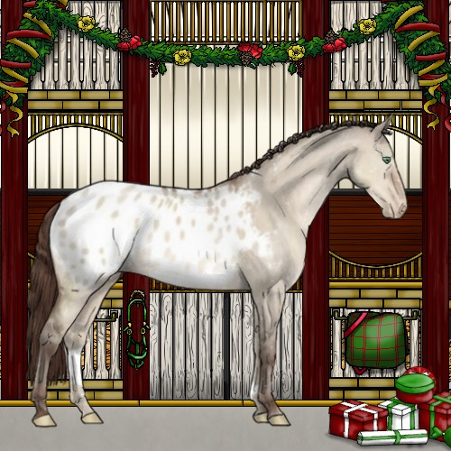 Horse Color:Sable Champagne Dun Appaloosa 