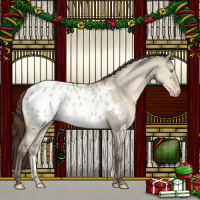 Horse Color:Sable Champagne Dun Appaloosa 