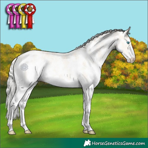Horse Color:Cremello Sabino 