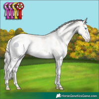 Horse Color:Cremello Sabino 