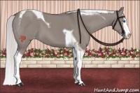 Horse Color:Platinum Silver Grullo Splash Tobiano Varnish 