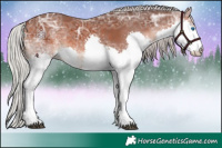 Horse Color:Silver Brown Ice Splash