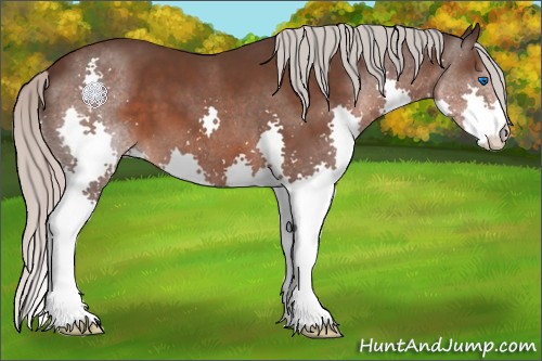 Horse Color:Silver Brown Splash 