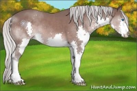 Horse Color:Platinum Silver Brown Splash 