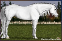 Horse Color:Gray Black Sabino Splash Tobiano 