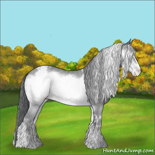 Horse Color:Sable Champagne Chinchilla Onyx Frame Varnish