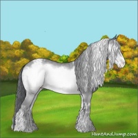 Horse Color:Sable Champagne Chinchilla Onyx Frame Varnish 