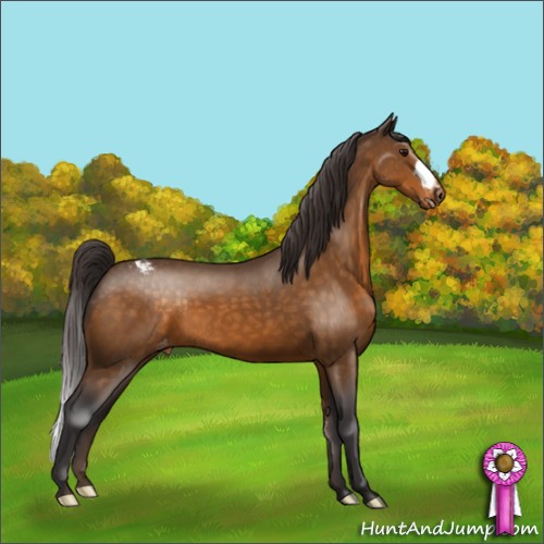Horse Color:Buckskin Snowcap