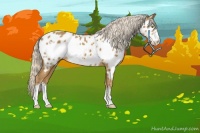 Horse Color:Palomino Frame Near Leopard 