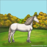 Horse Color:Perlino Dun Appaloosa 