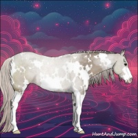Horse Color:White Spotted Silver Grullo Sabino 