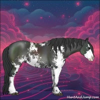 Horse Color:Black Sabino 