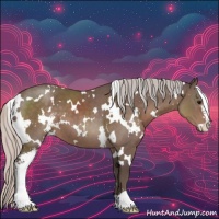 Horse Color:White Spotted Silver Black Sabino 