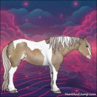 Horse Color:Silver Grullo Sabino Tobiano 