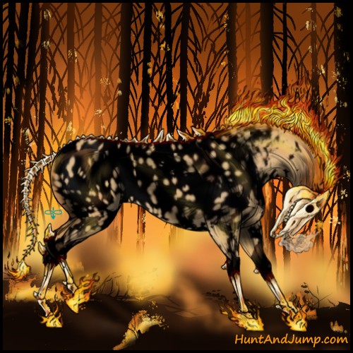 Horse Color:Void White Spotted Palomino Dun Sabino Splash Appaloosa