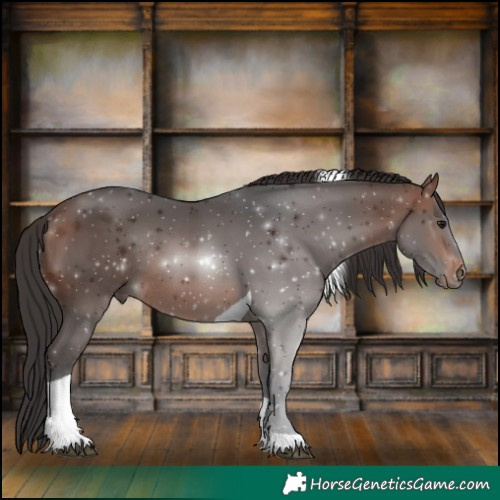 Horse Color:Brown Tobiano Rabicano 