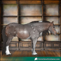 Horse Color:Brown Tobiano Rabicano
