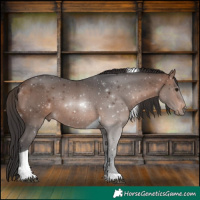 Horse Color:Brown Tobiano Rabicano 