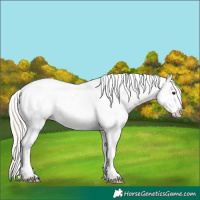 Horse Color:White Spotted Silver Sable Champagne Roan Onyx Near Leopard 