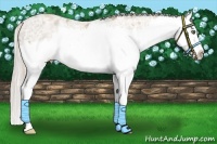 Horse Color:White Spotted Chocolate Palomino Ice Pearl Sabino Splash 
