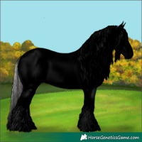 Horse Color:Void Silver Bay Sabino Splash Appaloosa Rabicano 