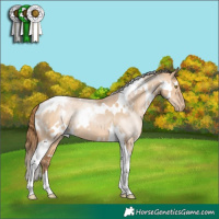 Horse Color:White Spotted Brown Pearl Dun Tobiano Rabicano