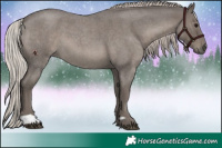 Horse Color:Silver Blue Roan 