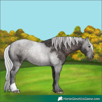 Horse Color:Platinum Silver Brown 