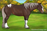 Horse Color:Silver Brown Varnish 