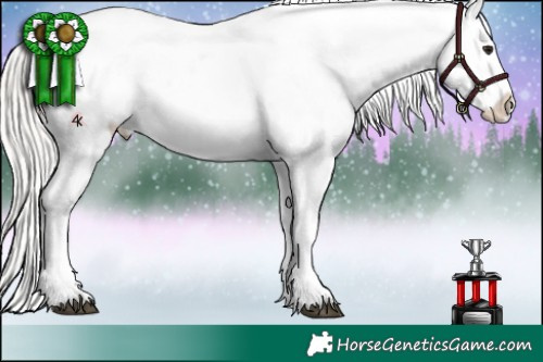 Horse Color:Silver Brown Snowflake Varnish 