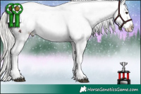 Horse Color:Silver Brown Snowflake Varnish 