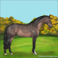 Horse Color:Platinum Brown