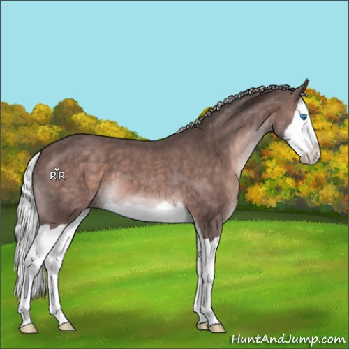 Horse Color:Platinum Silver Bay Splash